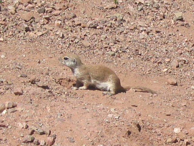 618x457 pixels (247K)